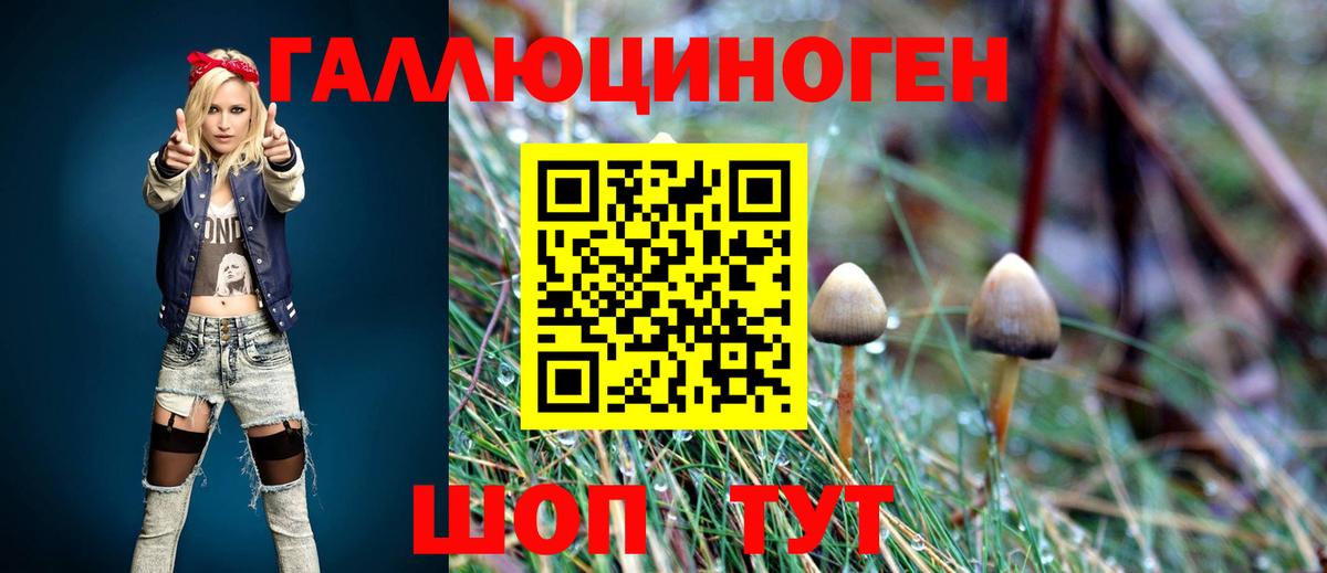 Галлюциногенные грибы прущие грибы  даркнет сайт  Лабинск  Псилоцибиновые грибы MAGIC MUSHROOMS  Вход с VPN 